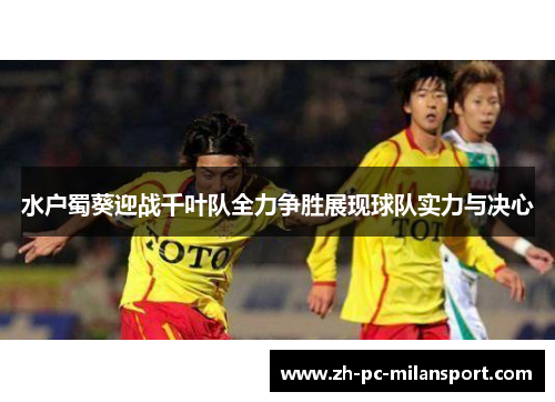 水户蜀葵迎战千叶队全力争胜展现球队实力与决心
